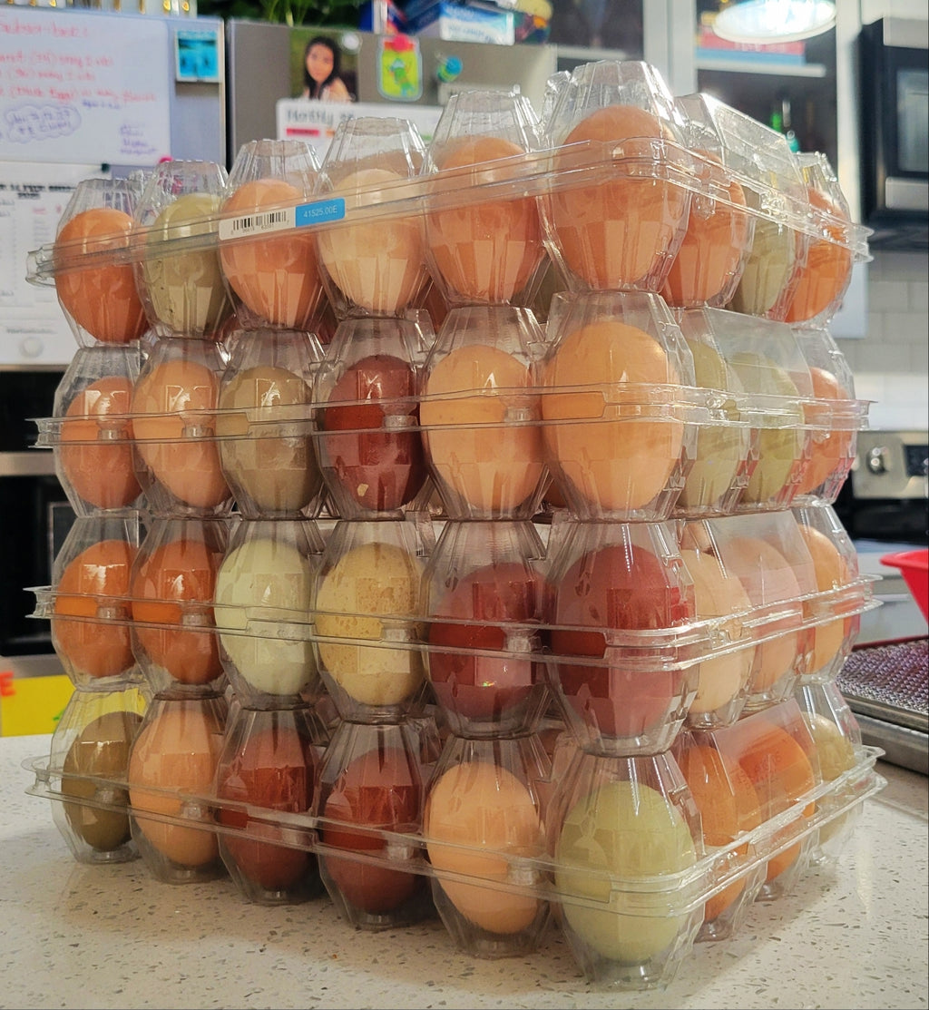12ct Organic Chicken Eggs