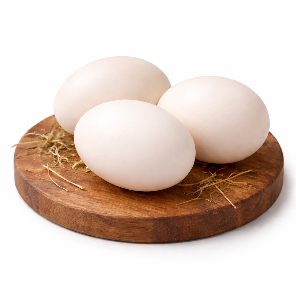 1ct Organic Duck Egg