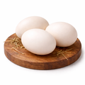 1ct Organic Duck Egg