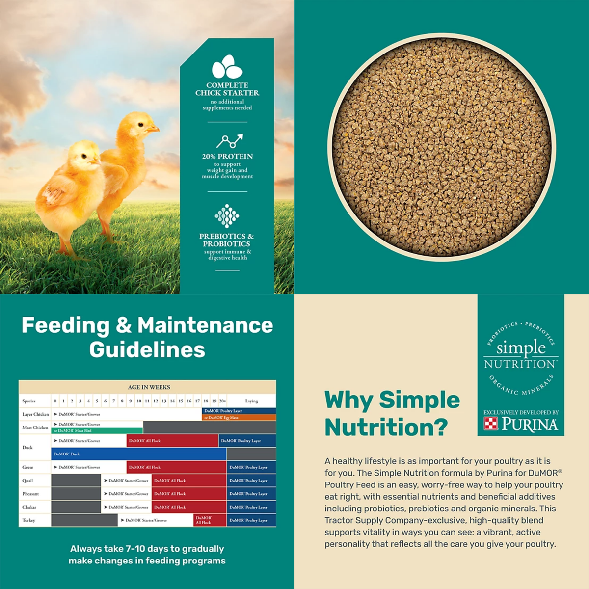 Chick Starter/Grower Crumbled Chicken Feed 5lb